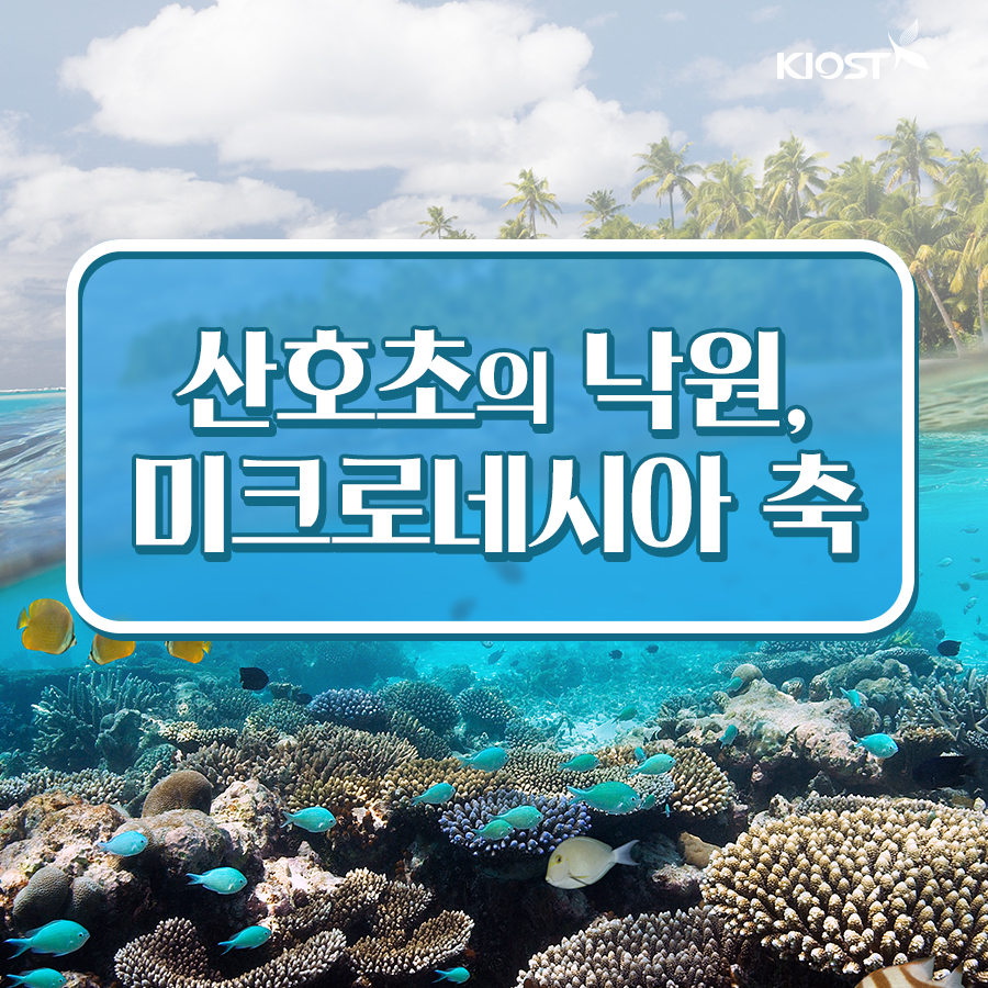 
						산호초의 낙원, 미크로네시아 축!
						
						